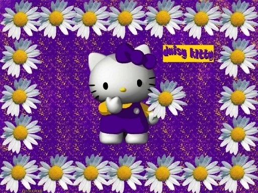 purple daisy kitty