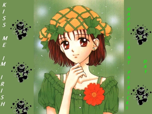 saint patricks day