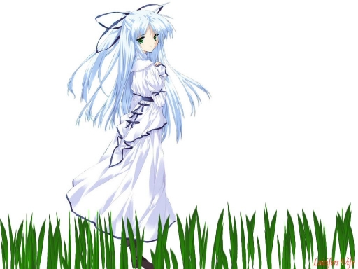Grass
