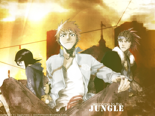 Welcome to the Jungle