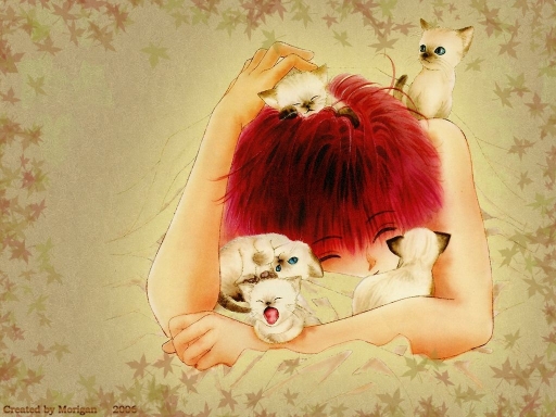 Cats And Boy