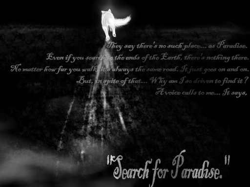 Search For Paradise