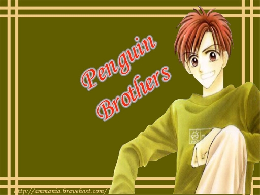 Penguin Brothers