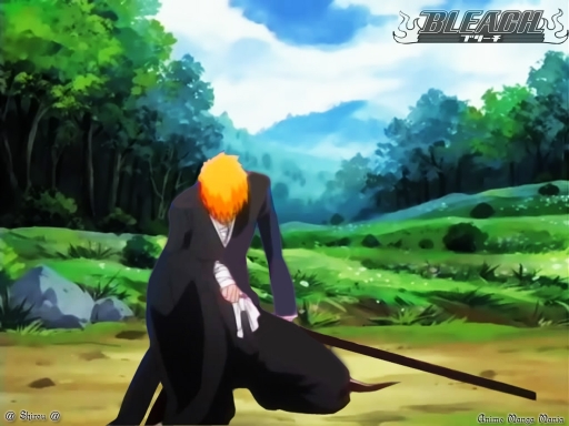 Bleach