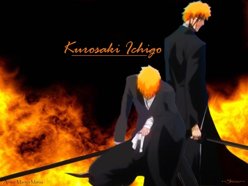 Bleach