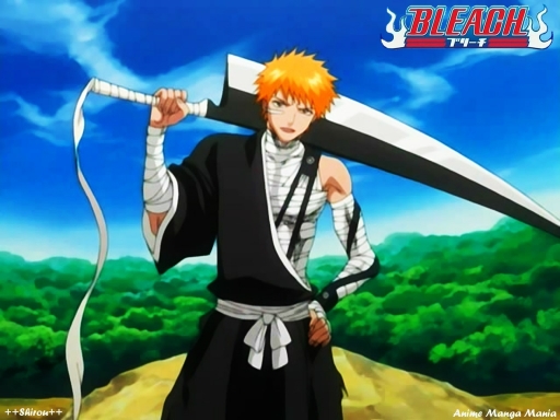Bleach