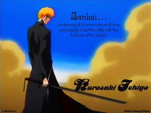 Bleach