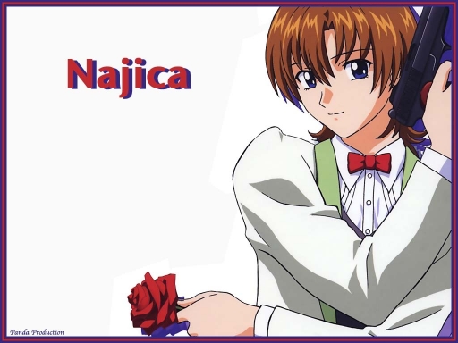 najica