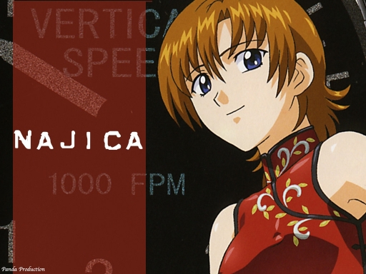 najica