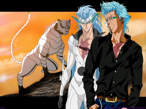 Bleach caption-145410-20100105003320.jpg