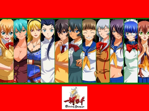 Ikki Tousen : Shining Dragon 1024 x 768 | 800 x 600. To download wallpapers 