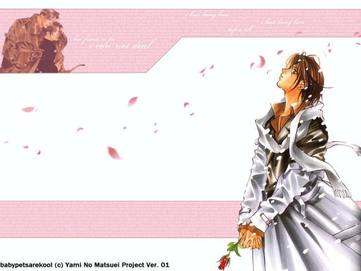 Love In A Single Rose
