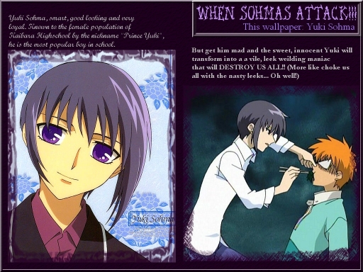 When Sohmas Attack: Yuki