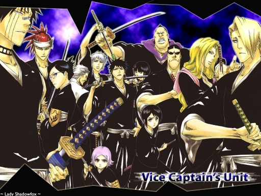 Vice Captians Unit
