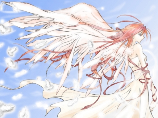 Open Wings