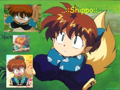 Shippo Wallpaper