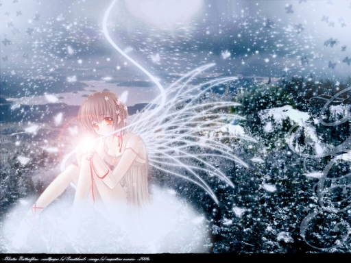 Winter Butterflies