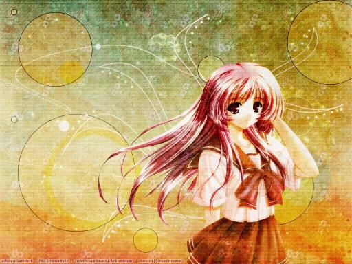 Summer Dream