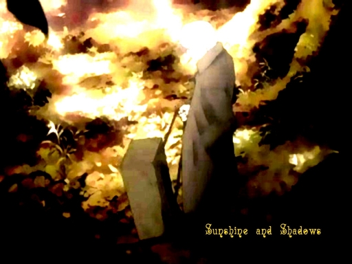 Mushishi - Sunshine