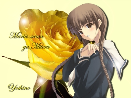 Yellow Rose Yoshino