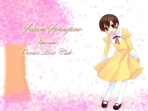 Sakura Springtime
