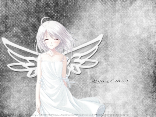 Lost Angel