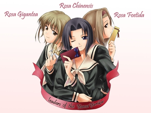 Marimite05