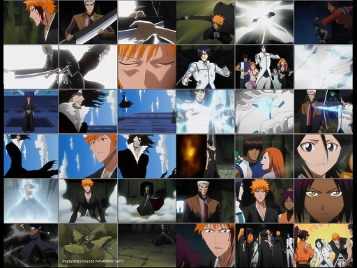 Bleach