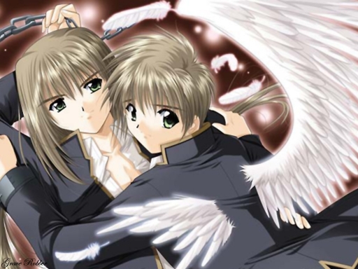Wings