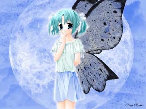 Butterfly