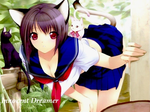 Innocent Dreamer