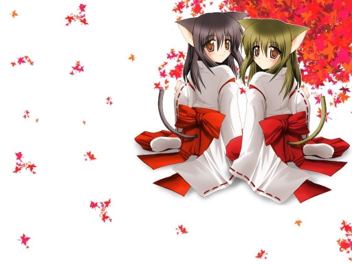 Neko Leaves
