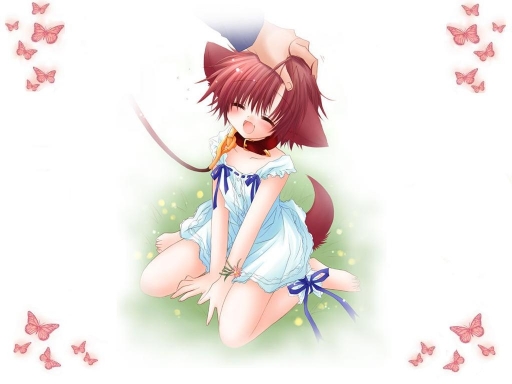 Neko B