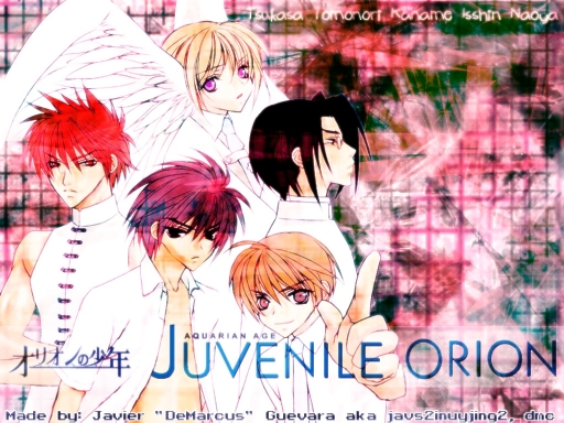 Juvenile Orion