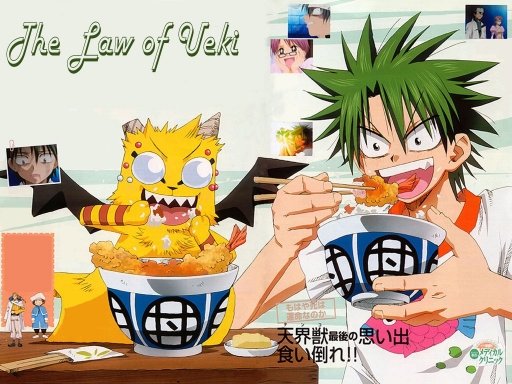 Law Of Ueki