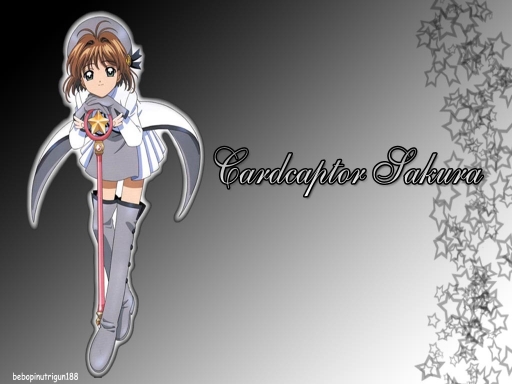 The Cardcaptor