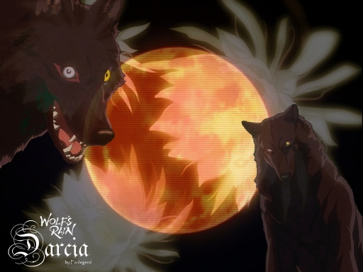 Darcia's Moon