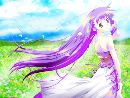 Summer Breeze