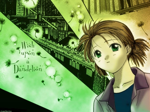 Wish Upon A Dandelion