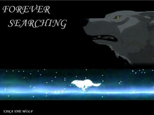 Always Searching