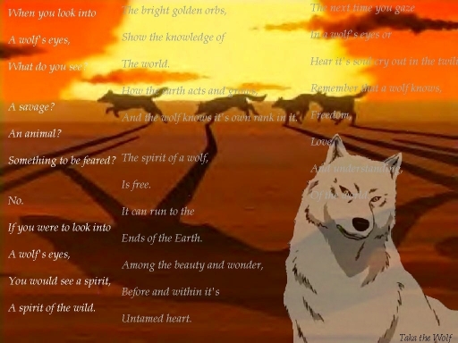 Wolf's Eyes
