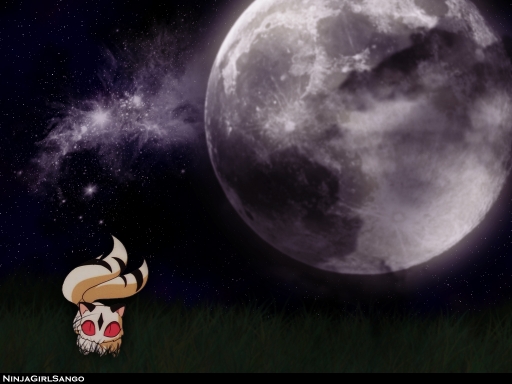 Kirara/ Inuyasha