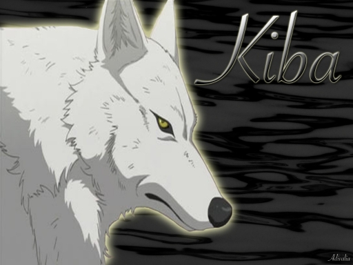 Kiba