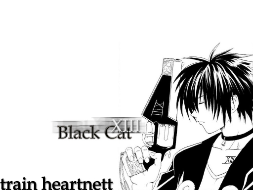Black Cat