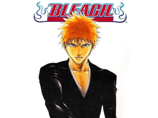 Kurosaki Ichigo 2