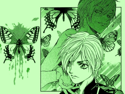 Butterfly