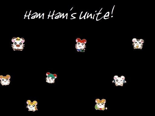 Ham Hams