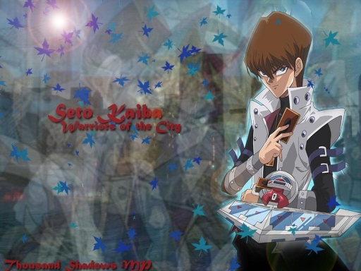 Seto Kaiba-warriors