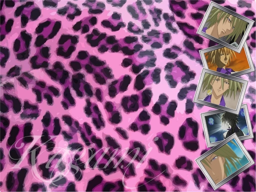 Leopard Frames