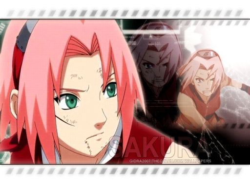 Sakura1024 Ll